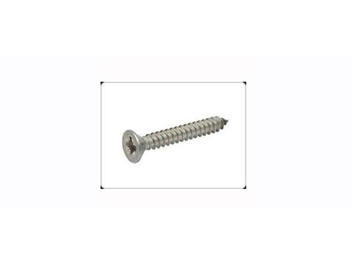 stainless-steel-self-tapping-screw-x-1