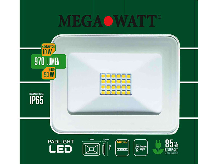 warm-white-floodlight-10w