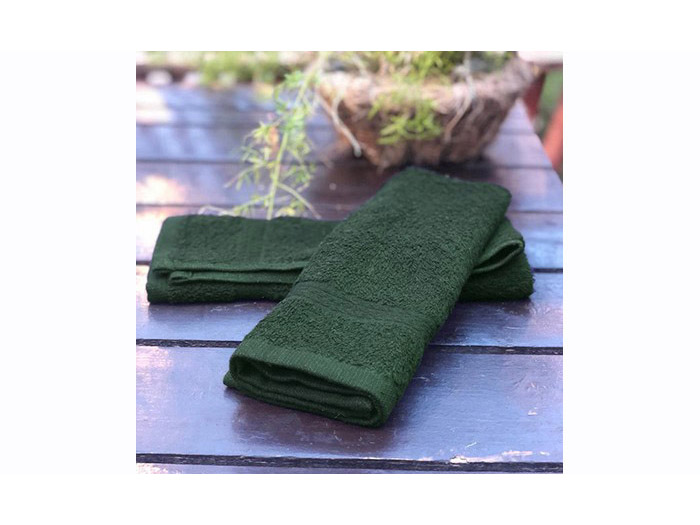 prestige-evergreen-soft-facecloth-30cm-x-50cm