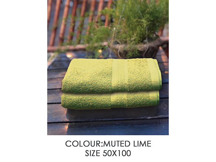 prestige-muted-lime-soft-hand-towel-50-x-100-cm