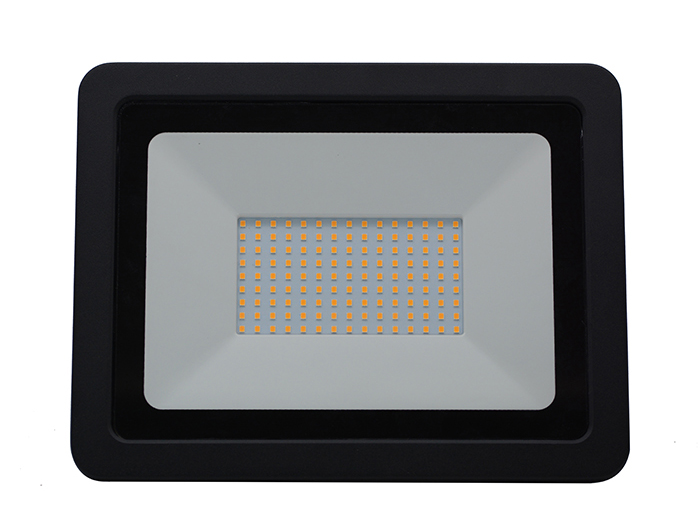 day-light-floodlight-100-watts