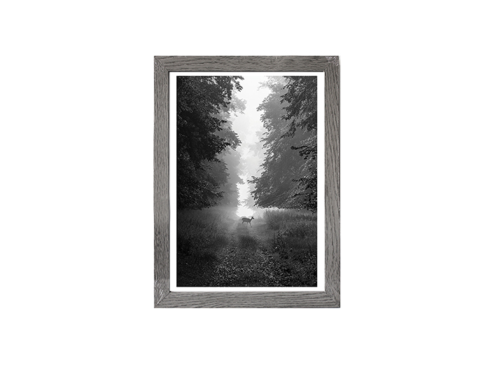 art-photo-frame-in-grey-oak-21-x-29-7-cm