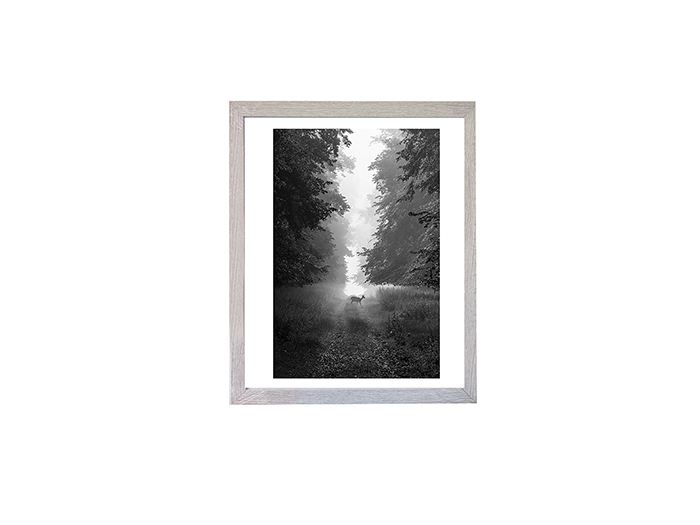 art-photo-frame-light-grey-oak-29-7-x-42-cm