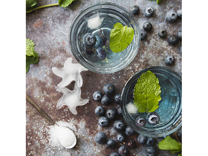 blueberries-and-mint-design-print-canvas-40-x-40-x-1-cm