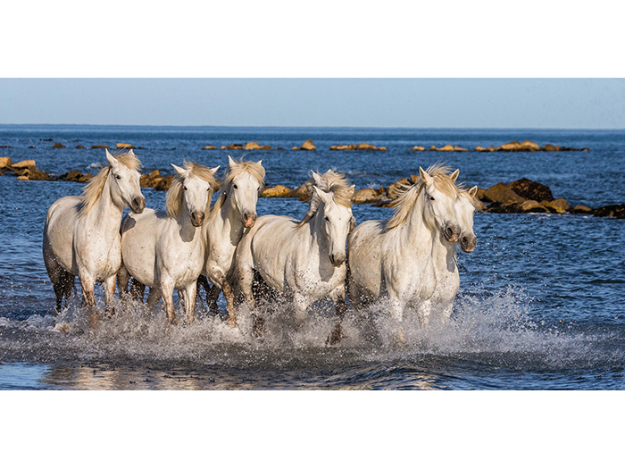 wild-white-horses-running-in-sea-design-print-canvas-100-x-50-x-3-cm