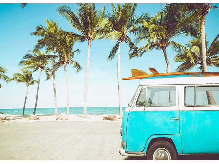 palm-trees-and-vw-camper-can-design-print-canvas-60-x-38-x-3-cm