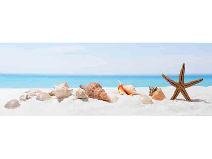 sea-shells-on-beach-design-print-canvas-110cm-x-38cm