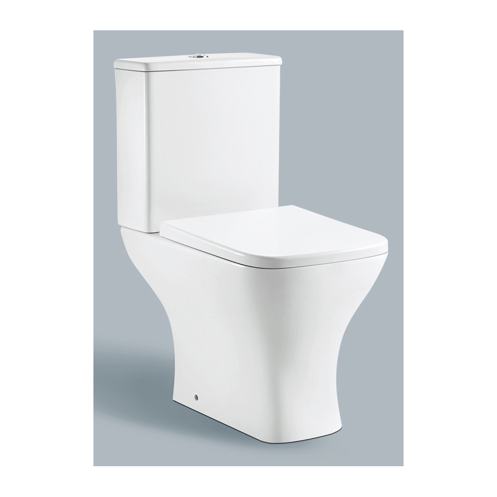 deluxe-combined-toilet
