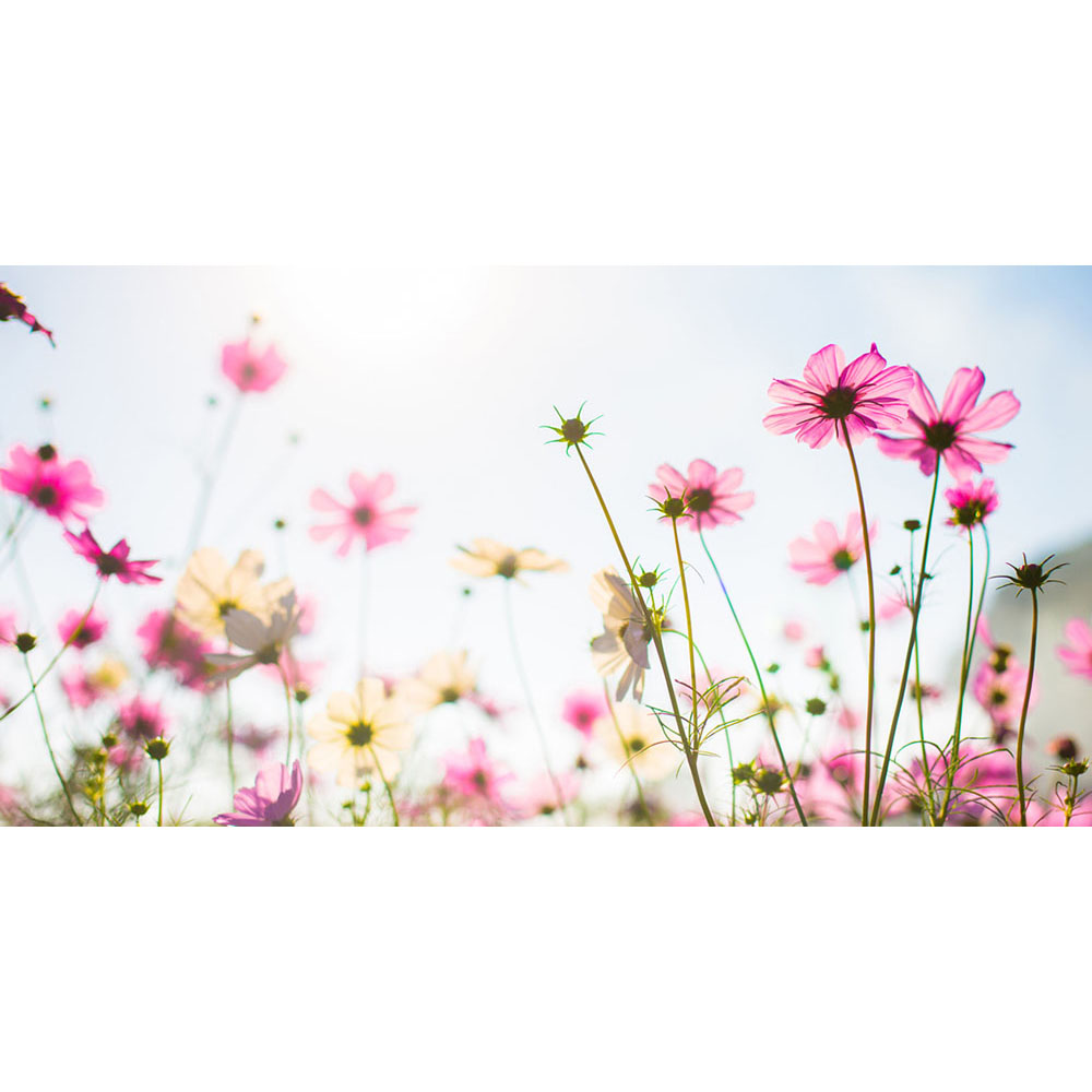 pink-flower-field-design-print-canvas-18cm-x-35cm-x-3cm