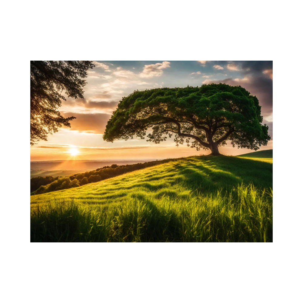 tree-valley-view-canvas-print-60cm-x-80cm