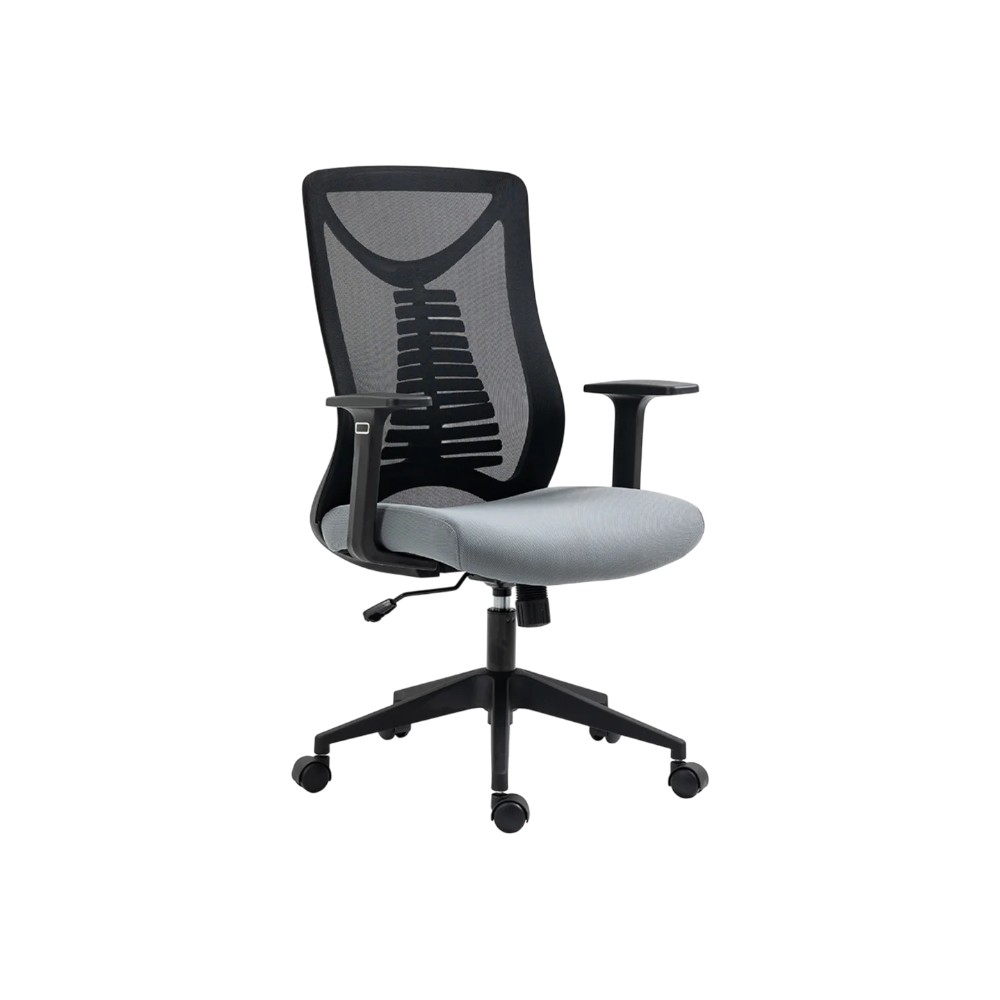 ergolex-swivel-chair-black-and-gray