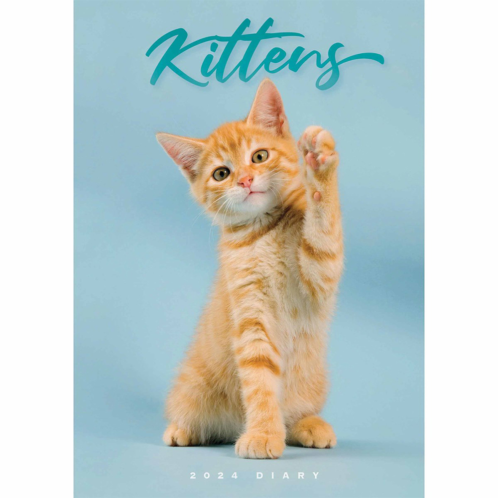 kittens-a5-diary-2024
